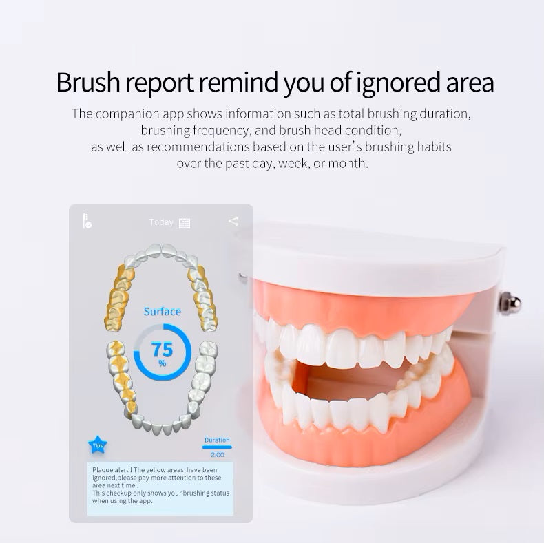Ivy AI Smart Toothbrush with tracking